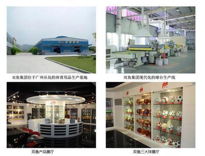 【双鱼正品球台 双鱼201兵乓球桌/兵台/折叠移动式球台/坚固】价格,厂家,图片,乒乓球台,广州丹哪文体用品-